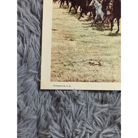 Gunfighters of Casa Grande 1964 Lobby‎ Card Movie Poster Western Alex Nicol - Picture 7 of 7